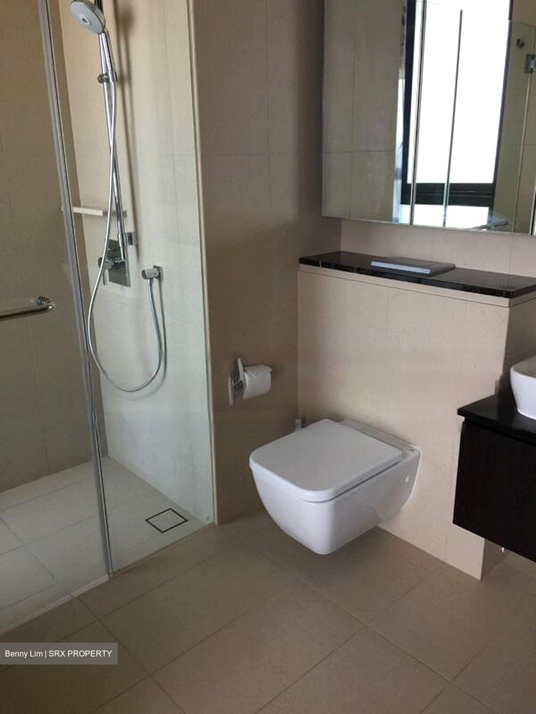 Spottiswoode Residences (D2), Condominium #484025731